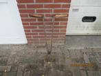 bietentang, Ophalen of Verzenden, Overige soorten