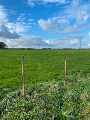 35x Tuinpaal boompaal geïmpregneerd 200cm lang 6cm dik beschikbaar voor biedingen