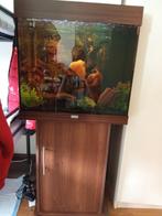 Ik verkoop mijn nieuw gelanceerde aquarium Jewel Rio 140 vie, Dieren en Toebehoren, Vissen | Aquaria en Toebehoren, Overige typen