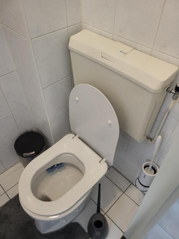 Complete toilet Werkend en nog netjes. beschikbaar voor biedingen