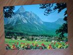 Ansichtkaart Oostenrijk Ehrwald Tirol 21739, Ophalen of Verzenden, Oostenrijk