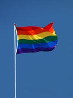 Regenboogvlag-LGBT Gay Pride Regenboog Vlaggen, Diversen, Vlaggen en Wimpels, Nieuw, Verzenden