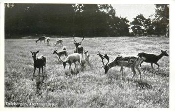 (388-396-039) Driebergen-Rijsenburg Hertenkamp beschikbaar voor biedingen
