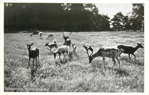 (388-396-039) Driebergen-Rijsenburg Hertenkamp, Verzamelen, Ansichtkaarten | Nederland, Utrecht, Verzenden