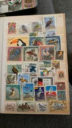 Leuke postzegels vogels (21), Ophalen of Verzenden, Dier of Natuur