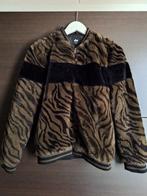 Leuke jas van Shoeby!, Ophalen of Verzenden, Zo goed als nieuw, Jongen of Meisje, Jas