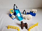 Duplo dierentuin dieren pooldieren ijsbeer zeehond pinquin, Kinderen en Baby's, Speelgoed | Duplo en Lego, Ophalen of Verzenden