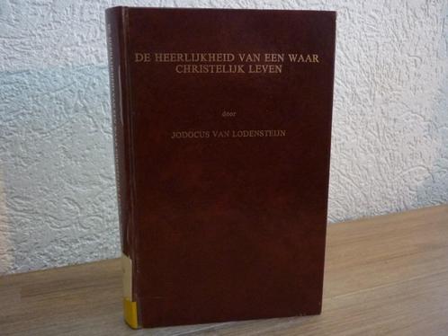 J. Lodensteijn - De heerlijkheid van een Christelijk leven, Boeken, Godsdienst en Theologie, Gelezen, Christendom | Protestants