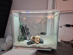 Superfish aquarium, Dieren en Toebehoren, Ophalen, Gebruikt, Leeg aquarium
