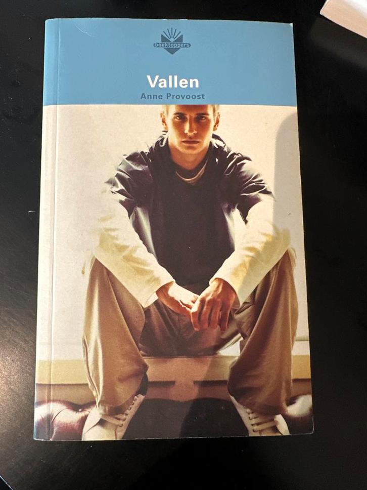 Valen - Anne Provoost, Boeken, Literatuur, Gelezen, Nederland, Ophalen of Verzenden