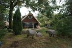 Saksisch boerderijtje te huur, 2 slaapkamers, Recreatiepark, Gelderland en Veluwe, Open haard