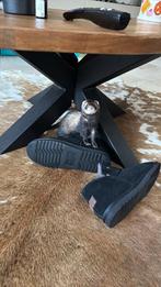 Een lief schatje gezocht voor mijn 3 musketiers, Dieren en Toebehoren, Mei, Geslacht onbekend