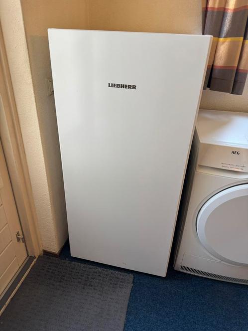 Liebherr FNe 4224-20, Witgoed en Apparatuur, Vriezers en Diepvrieskisten, Zo goed als nieuw, Vrijstaand, 160 cm of meer, 60 tot 90 cm
