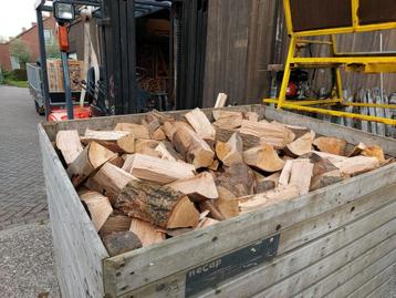 Droog essen haardhout 25cm - topkwaliteit & direct stoken beschikbaar voor biedingen