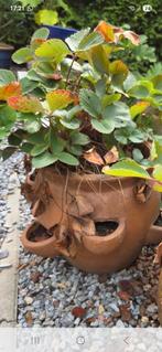 Terracotta aardbeien pot, Ophalen, Rond, Zo goed als nieuw, Minder dan 40 cm