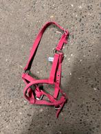 Mini shet halster roze, Dieren en Toebehoren, Ophalen of Verzenden, Zo goed als nieuw, Overige soorten