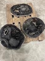 Versteend houten bladeren - Los te koop grote voorraad, Ophalen, Fossiel