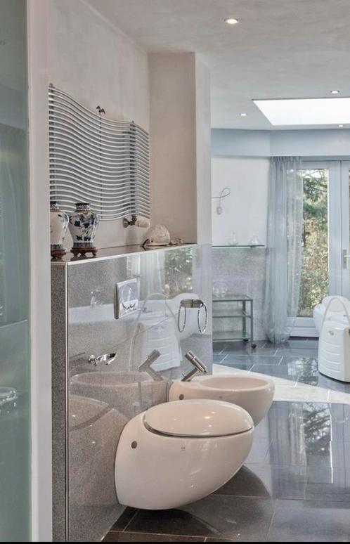 Toilet en bidet, Doe-het-zelf en Verbouw, Sanitair, Gebruikt, Glas, Ophalen