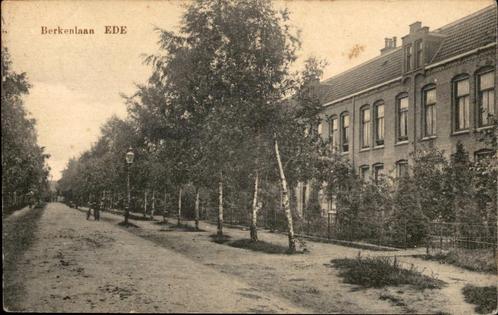 Ede Berkenlaan st 1920, Verzamelen, Ansichtkaarten | Nederland, Gelopen, Gelderland, Voor 1920, Ophalen of Verzenden