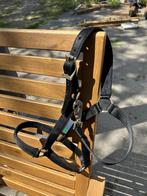 Zwart pony halster Bucas, Ophalen of Verzenden, Gebruikt, Overige soorten