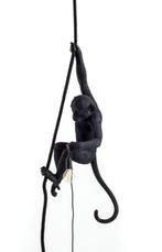 Seletti Aap - Monkey With Rope Hanglamp - enkel ophalen, Ophalen, Zo goed als nieuw, Overige materialen, 50 tot 75 cm