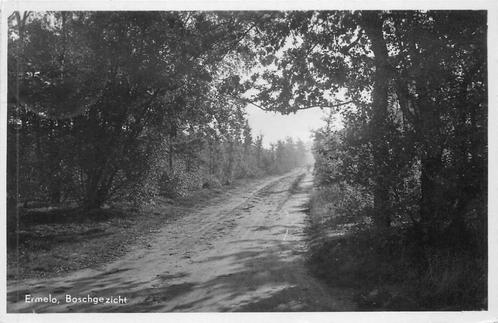 (381-289-039) Ermelo Boschgezicht, Verzamelen, Ansichtkaarten | Nederland, Gelderland, Verzenden