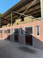 Pension plekken vrij, Weidegang