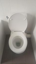 Sphinx toilet, Doe-het-zelf en Verbouw, Ophalen, Gebruikt, Steen, Toilet