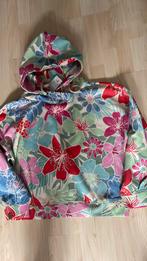 Nieuw kleurtjes HOODIE MAAT M, Kleding | Dames, Truien en Vesten, Ophalen of Verzenden, Nieuw