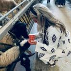 Leuke broek met top setje Amy & Ivy - The Sting, Ophalen of Verzenden, Zo goed als nieuw, Maat 38/40 (M), Wit