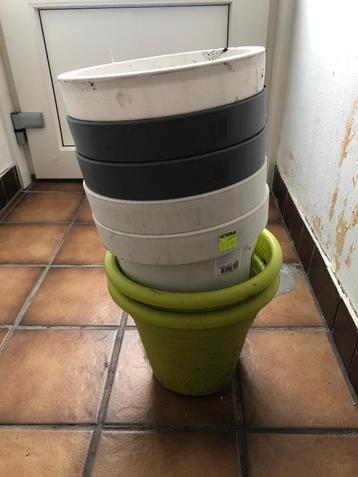 plant bakken en balkon bakken ( verkocht ) beschikbaar voor biedingen