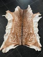 Dierenvel dierenhuid, Ophalen of Verzenden, Zo goed als nieuw