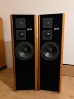 Magnat MSP 200 - High End, All ribbon wire, Audio, Tv en Foto, Luidsprekers, Ophalen, Gebruikt, Magnat, 120 watt of meer