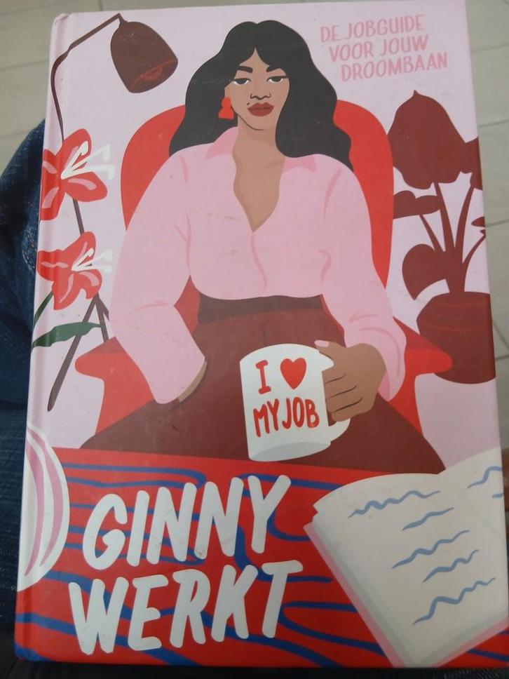 Ginny Werkt - De Jobguide voor jouw droombaan, Boeken, Advies, Hulp en Training, Zo goed als nieuw, Ophalen of Verzenden