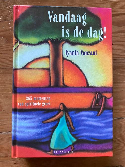 Lyanla Vanzant - Vandaag is de dag!, Boeken, Esoterie en Spiritualiteit, Gelezen, Spiritualiteit algemeen, Ophalen of Verzenden