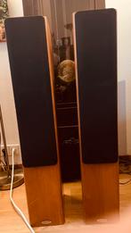 TANNOY Revolution r2, Overige merken, Gebruikt, Ophalen of Verzenden, 60 tot 120 watt