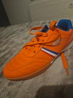 Panther zaal (voetbal) schoen. 1 keer gedragen, Ophalen of Verzenden, Zo goed als nieuw, Schoenen