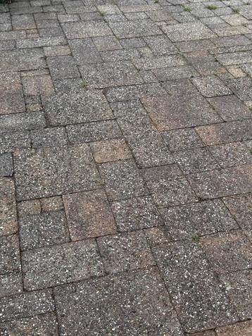 Gratis Tuintegels beschikbaar voor biedingen