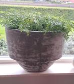 Bloempot groot, Huis en Inrichting, Ophalen, Zo goed als nieuw, Ovaal, Hout