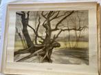Oude prent antiek Vincent van Gogh Boomstudie 1882, Natuur, Gebruikt, Ophalen of Verzenden, Voor 1940