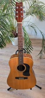 Washburn akoestische gitaar + tas en standaard, Ophalen, Zo goed als nieuw, Western- of Steelstringgitaar