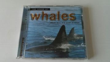 Levantis - The Sound Of Whales  beschikbaar voor biedingen