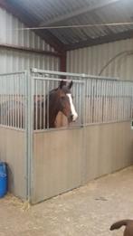 Corton paardenbox, Dieren en Toebehoren, 1 paard of pony