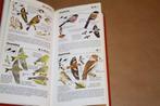 Vogels. Zakgids. Peter Hayman., Ophalen of Verzenden, Gelezen, Vogels