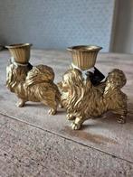 Gouden Dwergkees Kandelaar, Onbekend, Nieuw, Ophalen of Verzenden, Onbekend