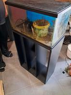 Aquarium met onderkast 60 liter met eheim pomp, Dieren en Toebehoren, Vissen | Aquaria en Toebehoren, Ophalen, Gebruikt, Leeg aquarium
