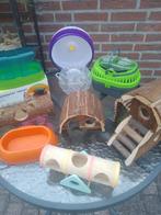 Te koop compleet hamster spullen set., Dieren en Toebehoren, Knaagdieren en Konijnen | Toebehoren, Ophalen of Verzenden, Zo goed als nieuw