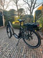 NIEUWSTAAT Trenergy Madeira E-bike: Comfortabele fiets, Fietsen en Brommers, Elektrische fietsen, Overige merken, Ophalen of Verzenden