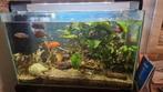 Compleet Aquarium Superfish Home 110, Ophalen, Zo goed als nieuw, Gevuld zoetwateraquarium