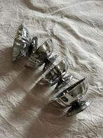Inox ijscoupe set, Ophalen of Verzenden, Overige stijlen